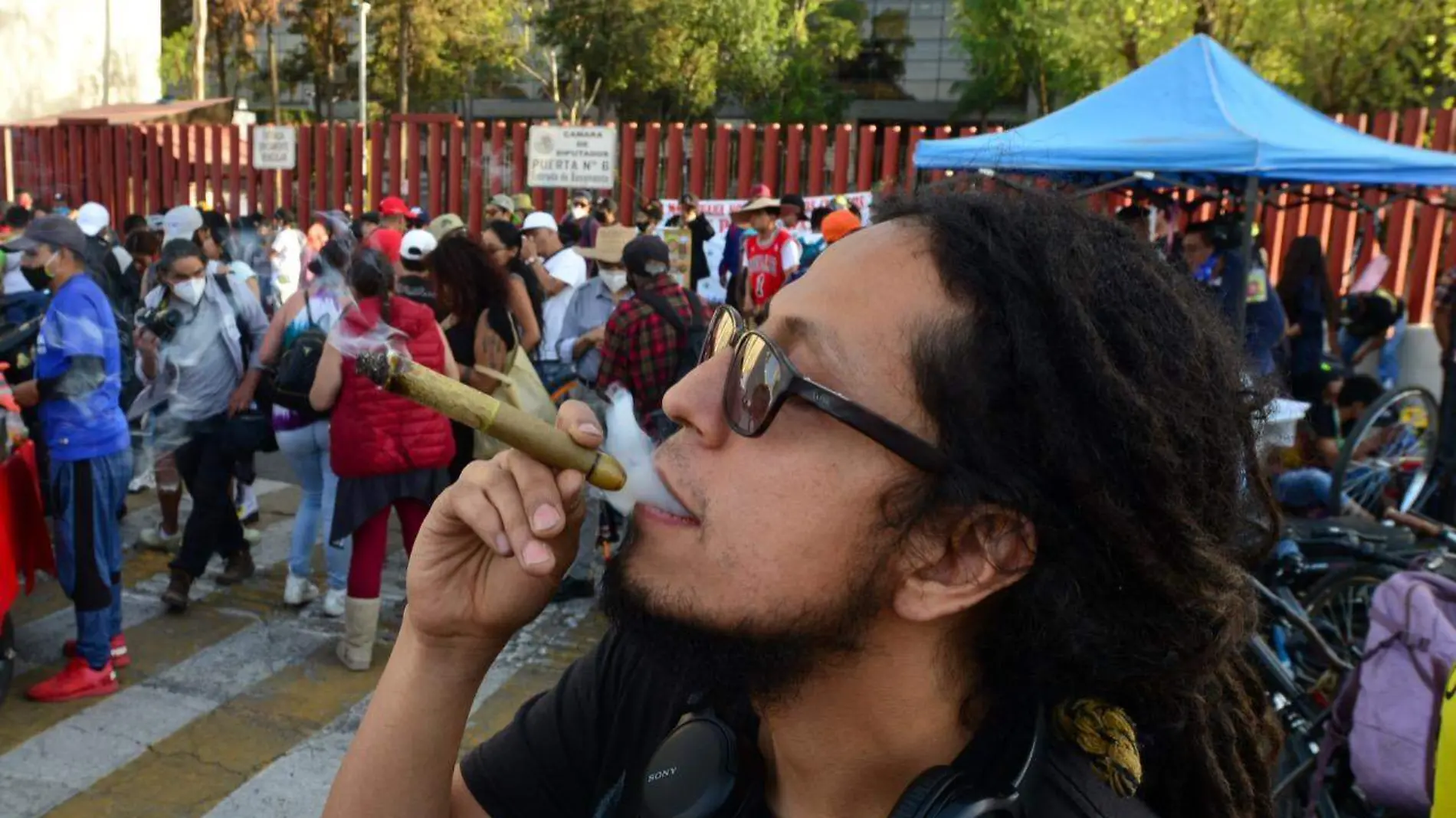 mariguana marihuanas consumo camara de diputados lovera (7)